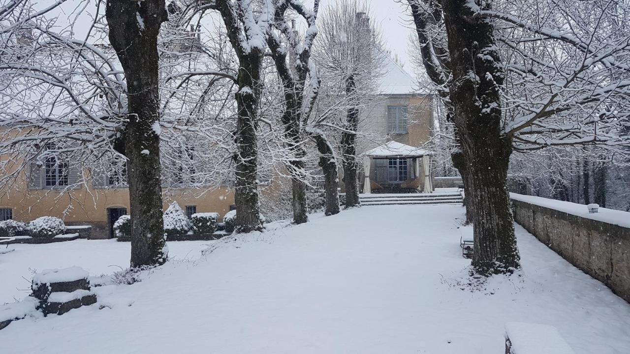 Chateau De Mauvilly Bed & Breakfast ภายนอก รูปภาพ